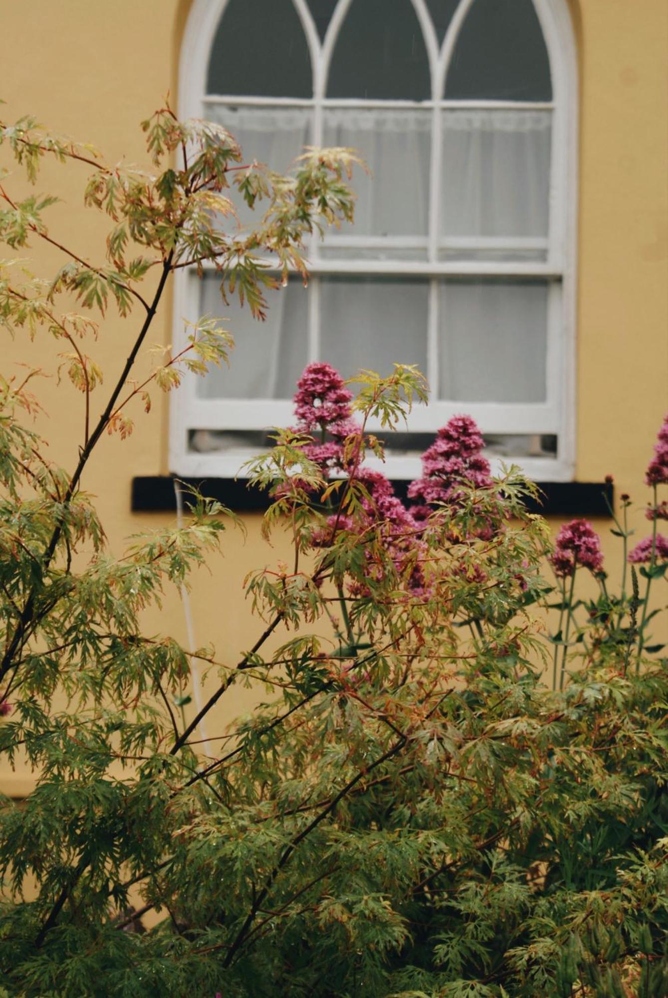 Ranscombe House Brixham Exterior foto